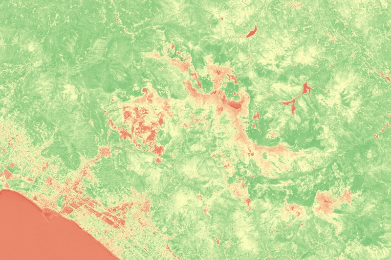 Analisi NDVI